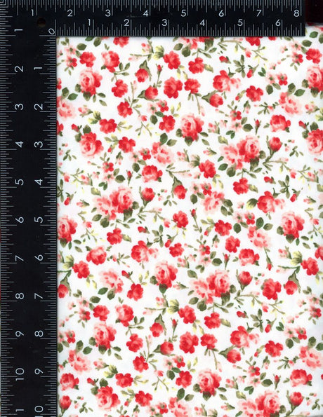 NFF200220-009 OFFWHITE/CORAL DTY BRUSHED PRINTS FLORAL ITEMS IVORY ORANGE