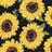 Fabric Wholesale Depot SUPER SOFT POLYESTER SPANDEX DBP / DTY BRUSHED BIG SUNFLOWER [NFF201027B-009].