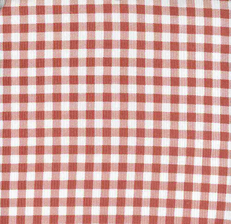 Fabric Wholesale Depot GINGHAM PLAID PRINTED IN 2X2 YUMMY RIB NFP210121-058.