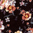 NFF191046-009 BLACK/PEACH DTY BRUSHED PRINTS FLORAL ITEMS