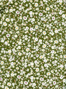 NFF210323A-009 OLIVE DTY BRUSHED PRINTS FLORAL GREEN ITEMS