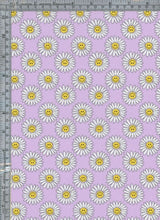 FWD01-B220604C LAVENDER CONVERSATIONALS PURPLE